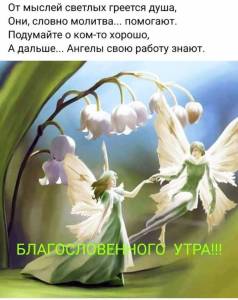 e2a4701423697f1d99d5954385355859.thumb.jpg.e9fe80a07df6accae0fed0a25bb7ac7f.jpg