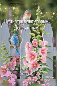 e2cc000c7803ac29be0d16011619a220.jpg