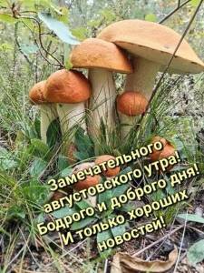 e76255d5cd9582e312e285b97a13c583.jpg