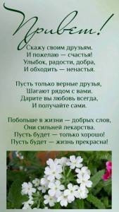 e9190e210ff926deeb24cfd29adfdbec.jpg