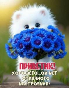 f7b058ce243a841ae57b8ce38d4fe33f.jpg