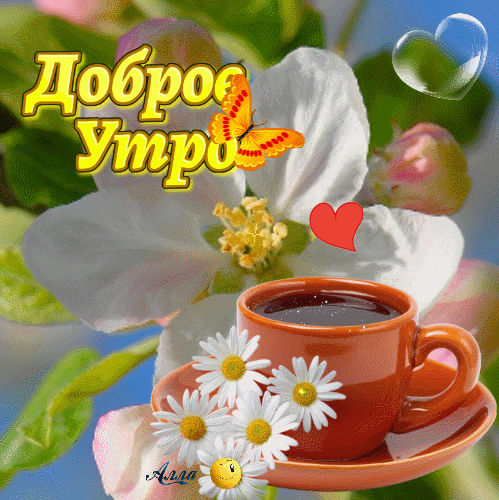 faffb29b74be935307ca1f19380b9689.gif