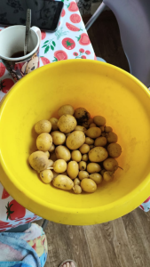 image.thumb.png.5e096ef5d8c32d31a3ef1dbb5f1a4511.png