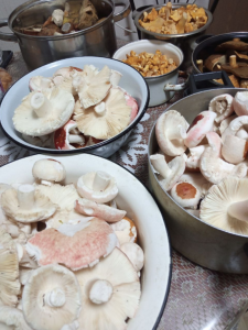 image.thumb.png.a67a51c507f32c170eca75adcc74b282.png