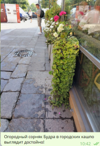 image.thumb.png.b54d0896d22696c3cea131d470a6958b.png