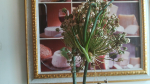 image.thumb.png.f974dff2f77b773ead6e9f47c0788a3c.png