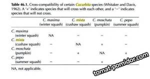 large.cross_polenisation_table.jpeg.ec2be1ea1daf030512c7ae682025296e.jpeg