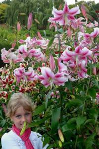 lilium-anastasia-1543.jpg