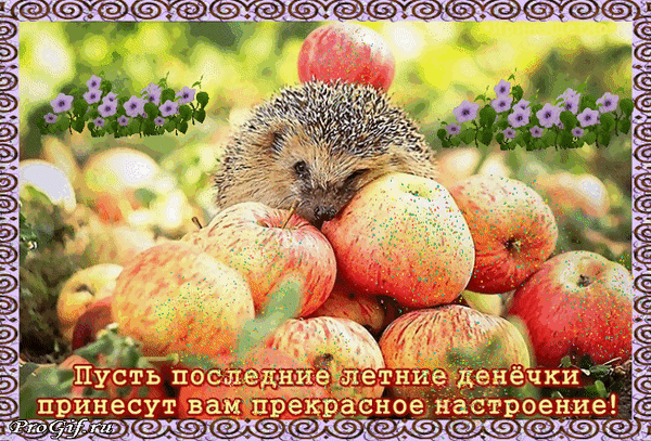 pust-poslednie-letnie-den-chki-prinesut-vam-prekrasnoe-nastroenie.gif
