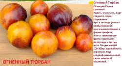 Огненный тюрбан.jpg