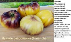Лунное очарование.jpg