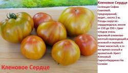 Кленовое сердце.jpg