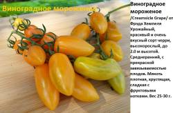 Виноградное мороженое.jpg