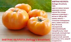 Завтрак Келлога.jpg