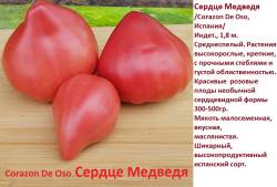 Сердце медведя.jpg