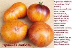 Странная любовь.jpg