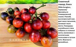 сказочный гламур.jpg