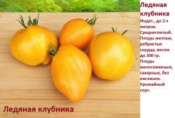 Ледяная клубника.jpg
