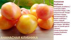 Ананасная клубника.jpg
