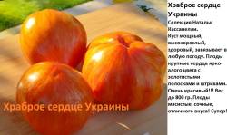 Храброе сердце Украины.jpg
