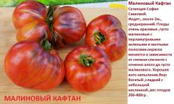 Малиновый кафтан 1.jpg