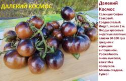 Далекий космос 1.jpg
