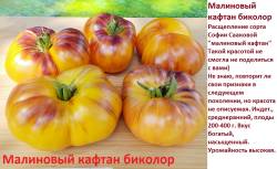 Малиновый кафтан биколор.jpg