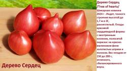 Дерево сердец.jpg