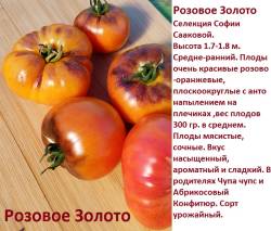Розовое золото (2).jpg