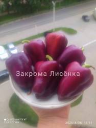 C_C_IMG_20250826_182938.jpg