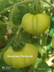 C_IMG_20250801_163634.jpg