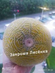 C_IMG_20250801_204555.jpg