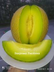 C_IMG_20250801_205002.jpg