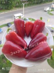 C_IMG_20250803_200437.jpg