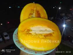 C_IMG_20250811_213531.jpg