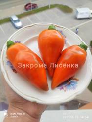 C_IMG_20250815_145720.jpg
