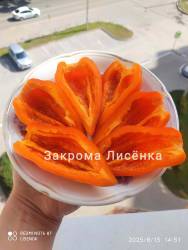 C_IMG_20250815_150926.jpg