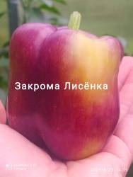 C_IMG_20250823_152804.jpg