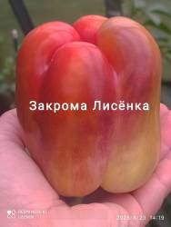 C_IMG_20250823_152934.jpg