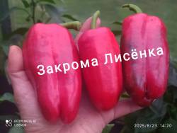 C_IMG_20250823_153054.jpg