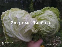 C_IMG_20250823_181023.jpg