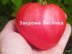 C_IMG_20250823_181455.jpg