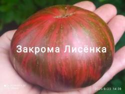 C_IMG_20250823_181521.jpg