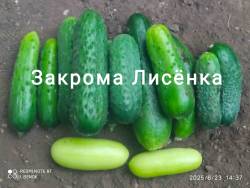 C_IMG_20250823_181550.jpg