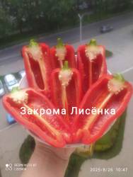 C_IMG_20250826_115414.jpg