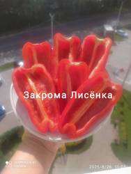 C_IMG_20250826_115445.jpg