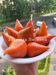 C_IMG_20250826_182900.jpg