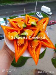 C_IMG_20250826_191929.jpg
