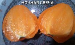 Compress_20250421_125157_7516.jpg