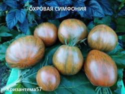IMG_20250816_201022.jpg
